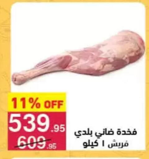 available at محمود الفار in Egypt - القاهرة