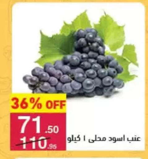 available at محمود الفار in Egypt - القاهرة