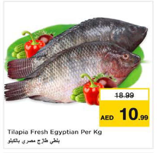 available at نستو هايبرماركت in الإمارات العربية المتحدة , الامارات - الشارقة / عجمان