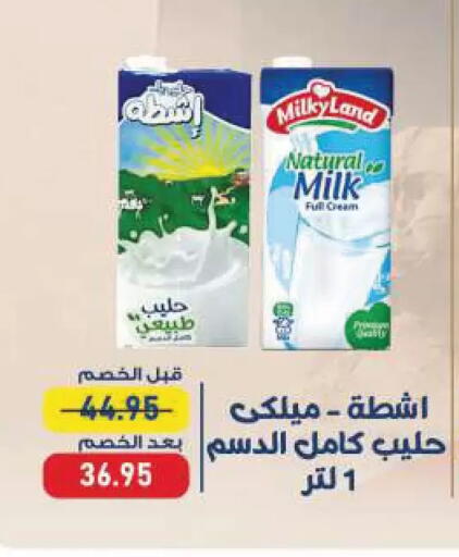 available at Exception Market in Egypt - Cairo