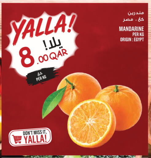 from Egypt available at مونوبريكس in قطر - الدوحة