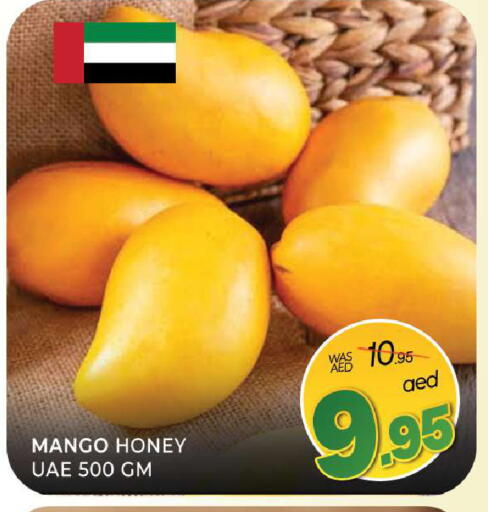 Mango available at المدينة in الإمارات العربية المتحدة , الامارات - الشارقة / عجمان