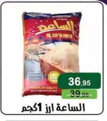 available at Mekkawy market  in Egypt - Cairo