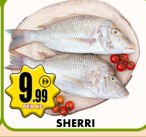 available at Centro Discount Center in UAE - Sharjah / Ajman