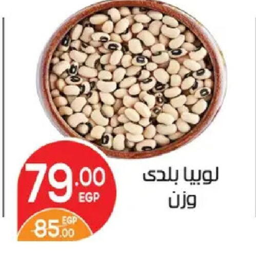 available at زهران ماركت in Egypt - القاهرة