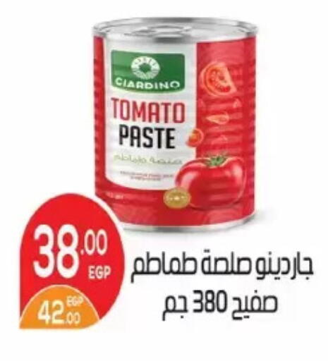 Tomato available at Zaher Dairy in Egypt - Cairo