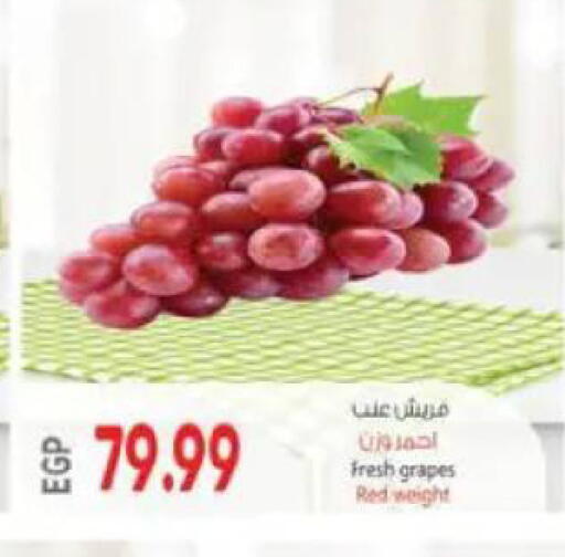 Grapes available at El.Husseini supermarket  in Egypt - Cairo