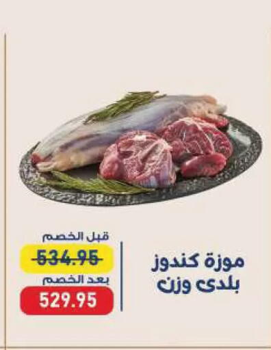 available at Exception Market in Egypt - Cairo