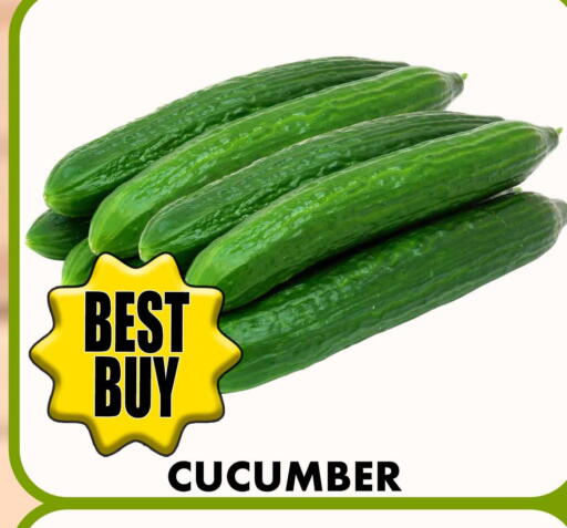 Cucumber available at Centro Discount Center in UAE - Sharjah / Ajman
