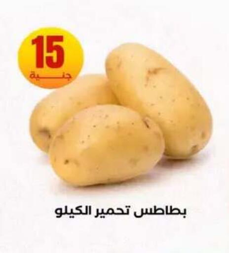 available at المحلاوي ستورز in Egypt - القاهرة