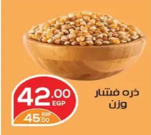 available at Zaher Dairy in Egypt - Cairo