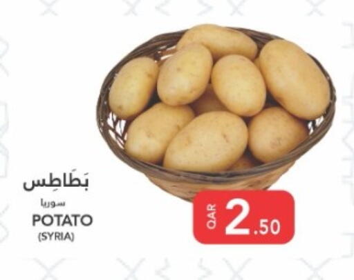 Potato from Syria available at البلدي اليوم in قطر - الضعاين