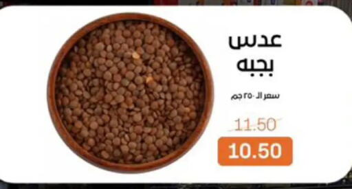 available at Beit El Gomla in Egypt - Cairo