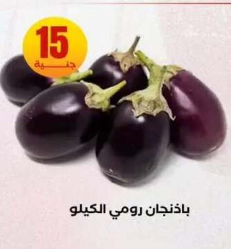 available at المحلاوي ستورز in Egypt - القاهرة