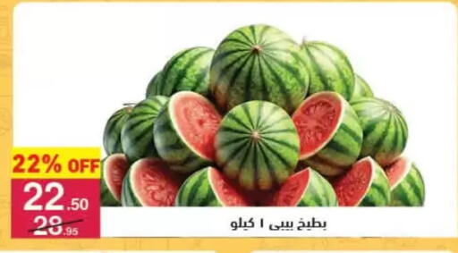 available at محمود الفار in Egypt - القاهرة