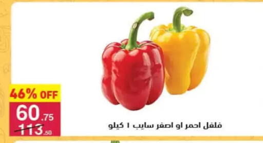 available at محمود الفار in Egypt - القاهرة