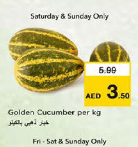 Cucumber available at نستو هايبرماركت in الإمارات العربية المتحدة , الامارات - الشارقة / عجمان