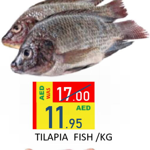 available at رويال جلف هايبرماركت in الإمارات العربية المتحدة , الامارات - أبو ظبي