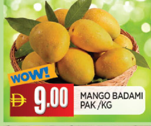 Mango available at المدينة in الإمارات العربية المتحدة , الامارات - الشارقة / عجمان