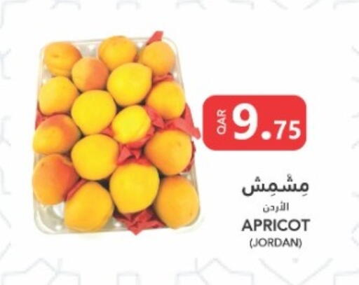 Apricot from Jordan available at البلدي اليوم in قطر - الضعاين