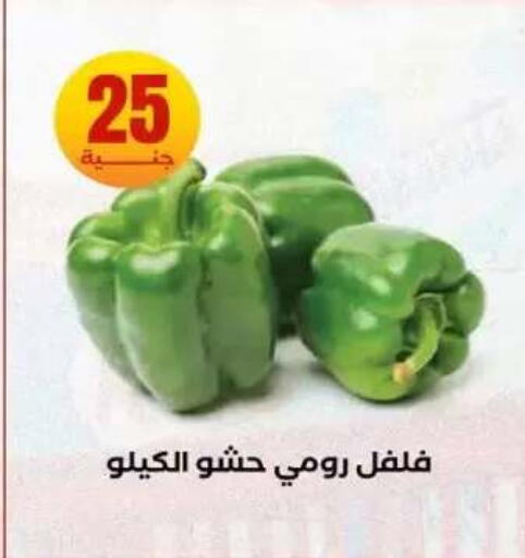 available at المحلاوي ستورز in Egypt - القاهرة