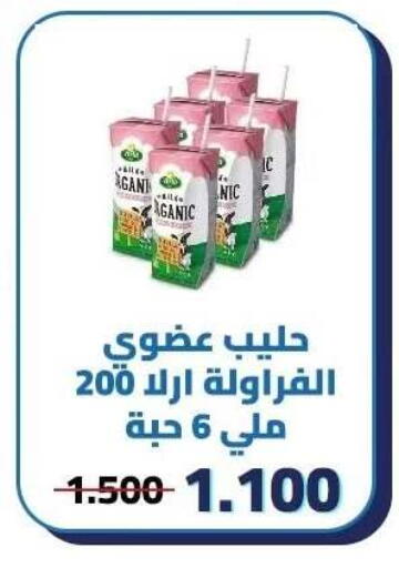 available at جمعية كيفان التعاونية in الكويت - مدينة الكويت