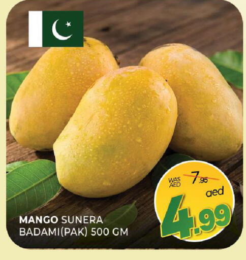 Mango available at المدينة in الإمارات العربية المتحدة , الامارات - الشارقة / عجمان