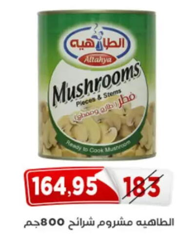 Mushroom available at Aswaq Albader in Egypt - Cairo