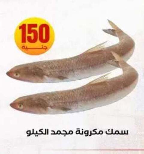 available at المحلاوي ستورز in Egypt - القاهرة