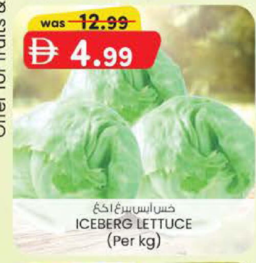 Lettuce available at ك. الم. للتجارة in الإمارات العربية المتحدة , الامارات - أبو ظبي