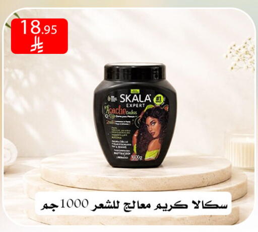 available at ركن العائلة in مملكة العربية السعودية, السعودية, سعودية - الرياض