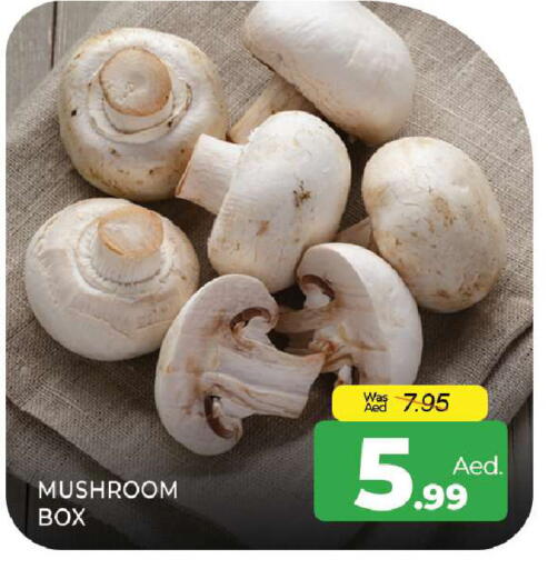 Mushroom available at المدينة in الإمارات العربية المتحدة , الامارات - الشارقة / عجمان