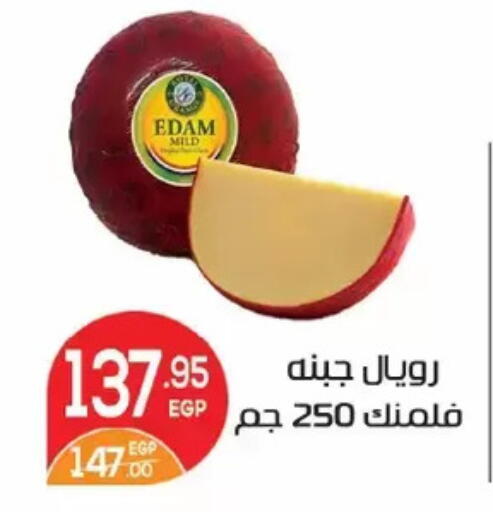 available at Zaher Dairy in Egypt - Cairo