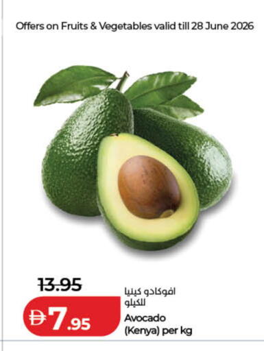 Avocado from Kenya available at Lulu Hypermarket in UAE - Dubai