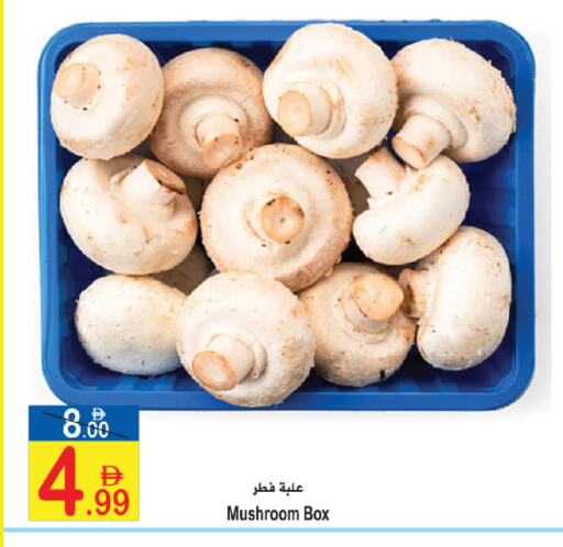 Mushroom available at سن اند ساند هايبر ماركت ذ.م.م in الإمارات العربية المتحدة , الامارات - رَأْس ٱلْخَيْمَة
