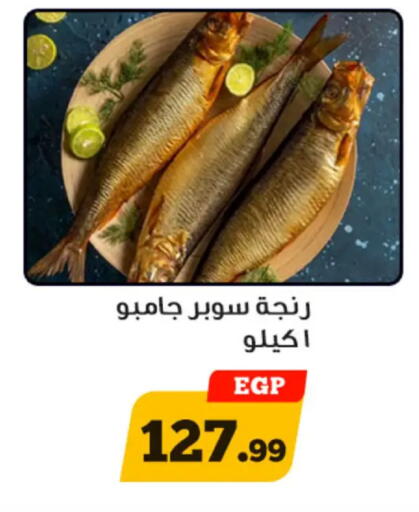 available at أولاد رجب in Egypt - القاهرة