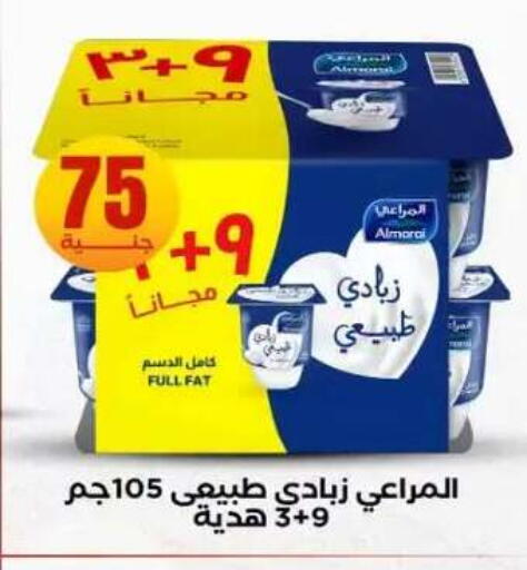 available at المحلاوي ستورز in Egypt - القاهرة