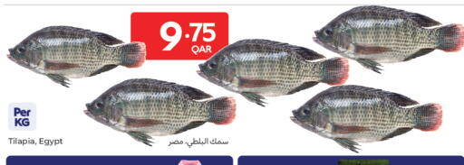 available at كارفور in قطر - الريان
