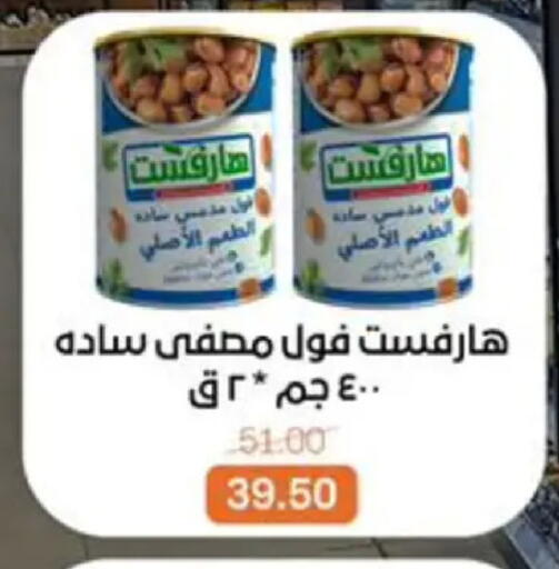 available at Beit El Gomla in Egypt - Cairo
