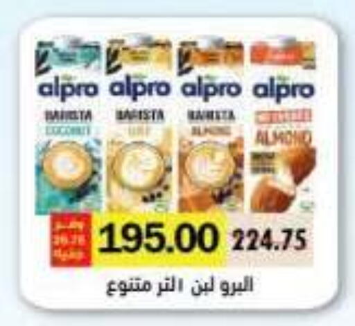available at رويال هاوس in Egypt - القاهرة