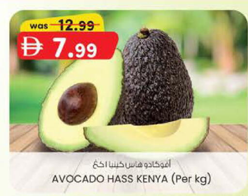 Avocado from Kenya available at ك. الم. للتجارة in الإمارات العربية المتحدة , الامارات - أبو ظبي