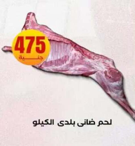 available at المحلاوي ستورز in Egypt - القاهرة