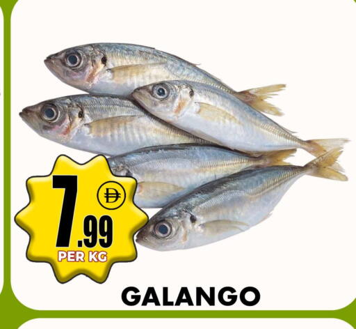 available at Centro Discount Center in UAE - Sharjah / Ajman