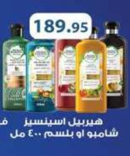 available at رويال هاوس in Egypt - القاهرة