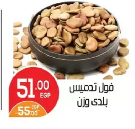 available at Zaher Dairy in Egypt - Cairo