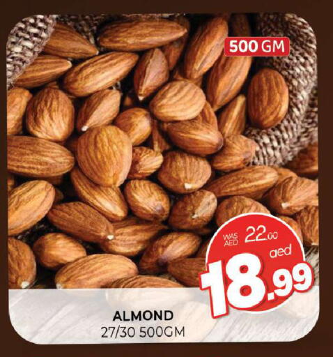 available at المدينة in الإمارات العربية المتحدة , الامارات - الشارقة / عجمان