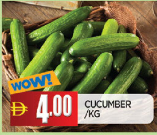 Cucumber available at المدينة in الإمارات العربية المتحدة , الامارات - الشارقة / عجمان