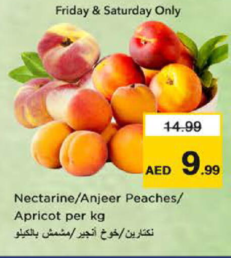 Nectarine Apricot available at Nesto Hypermarket in UAE - Dubai