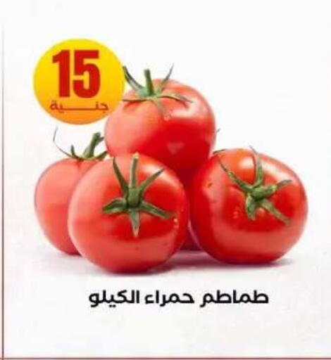 available at المحلاوي ستورز in Egypt - القاهرة