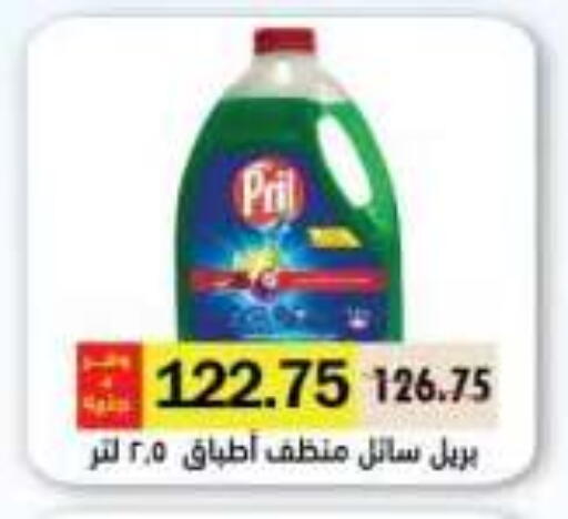 available at رويال هاوس in Egypt - القاهرة